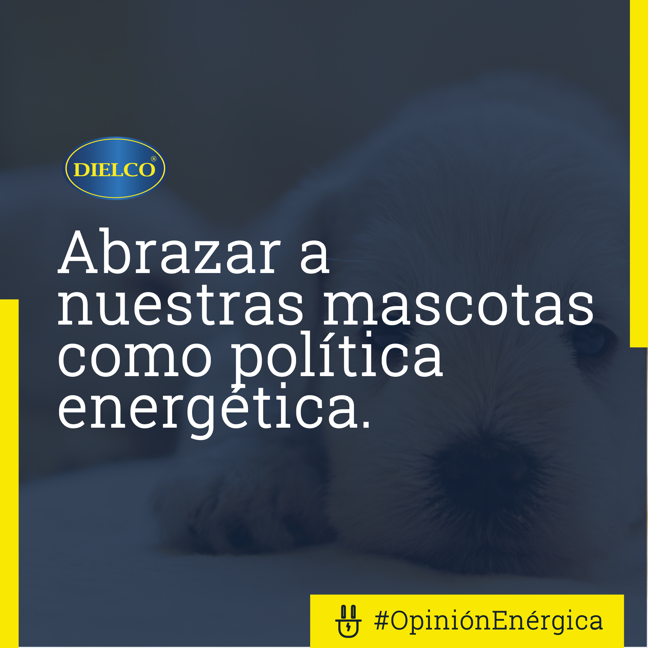 Abrazar a nuestras mascotas como política energética.